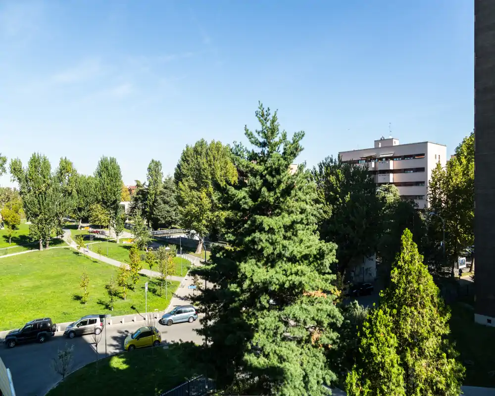 Vista soleada de un parque urbano verde con árboles maduros, caminos peatonales y coches aparcados — una agradable escena exterior visible desde una ventana o balcón.