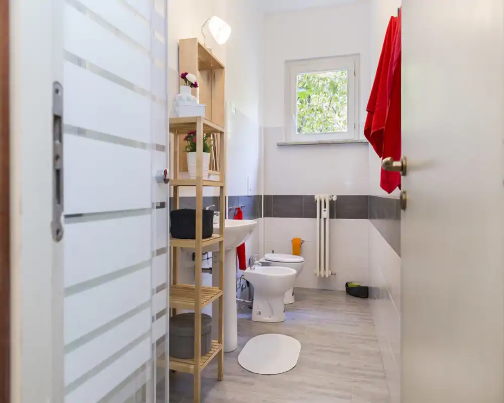 Clean, modern bathroom with a pedestal sink, bidet, toilet and a small window bringing natural light. Light wood shelving provides storage and decorative plants for a fresh feel.