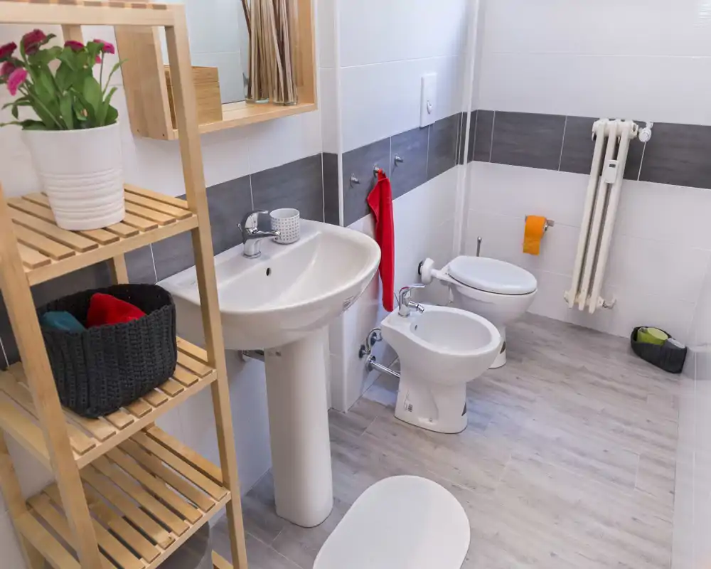 Clean, modern bathroom with pedestal sink, bidet and toilet, light wood-look flooring and simple shelving for storage; bright and tidy.