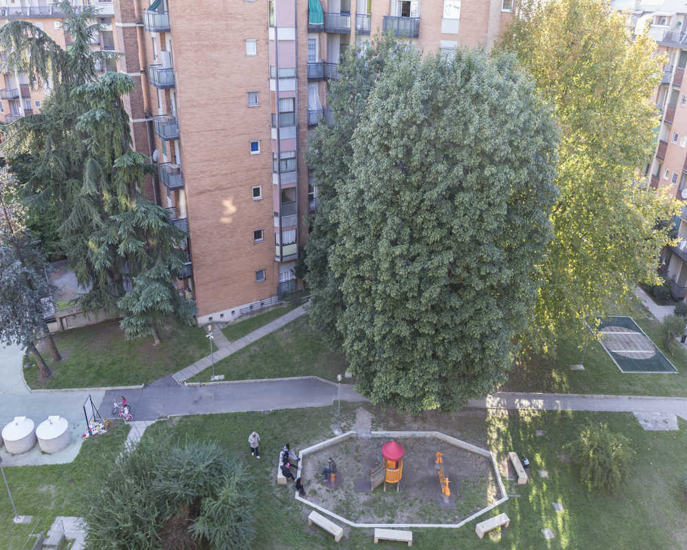 Single room Cesano Boscone, 3 beds, 16m² — photo 29