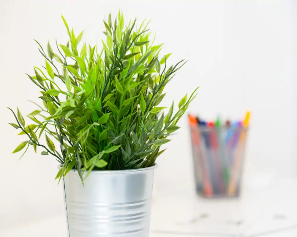 Plano detalle de una planta decorativa en maceta sobre una superficie luminosa, con un portabolígrafos desenfocado al fondo. Apta como imagen de detalle para destacar la decoración o un rincón de escritorio.