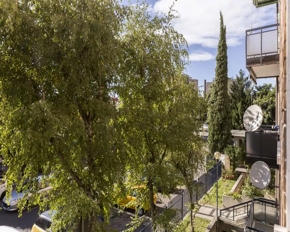 Vista da un balcone su una strada alberata con auto parcheggiate e balconi vicini; piacevole scena esterna urbana con verde e luce diurna chiara.