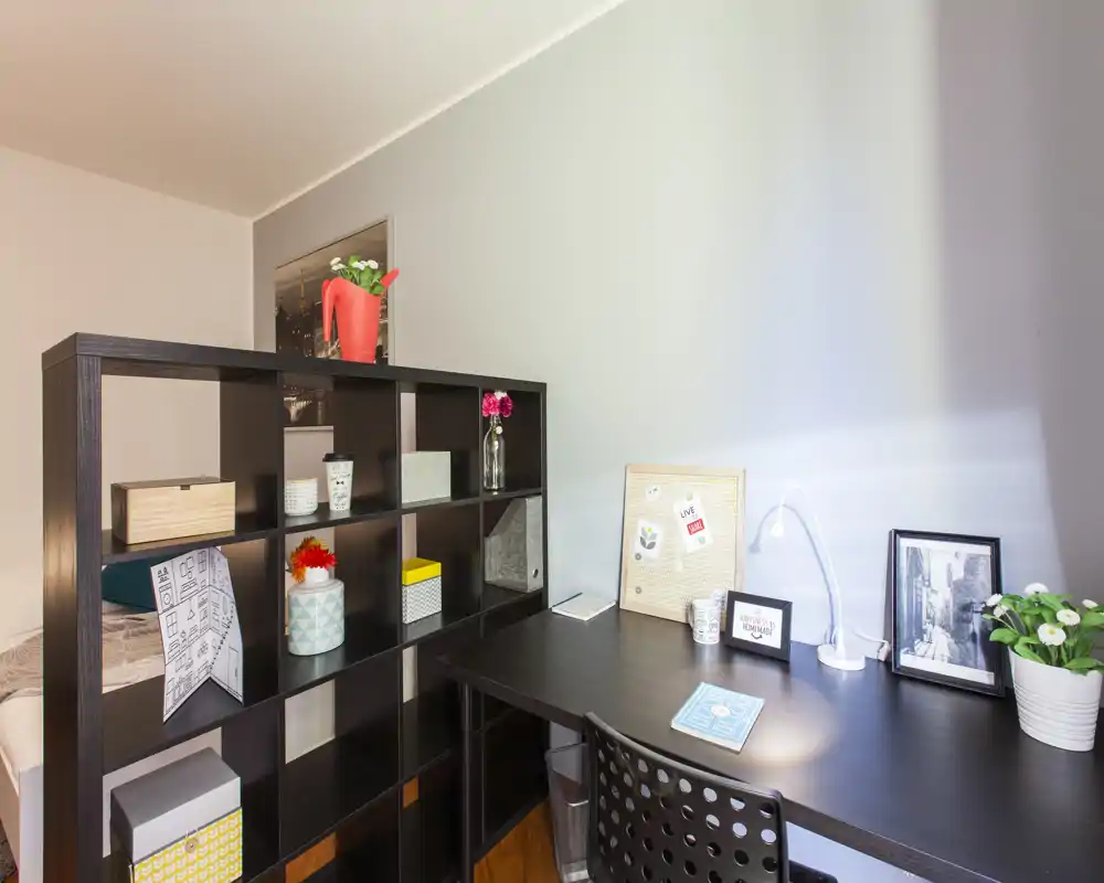 A tidy bedroom workspace with a dark shelving unit separating the bed area from a desk. The room features organized storage, decorative plants and a comfortable desk lamp providing a bright, functional corner.