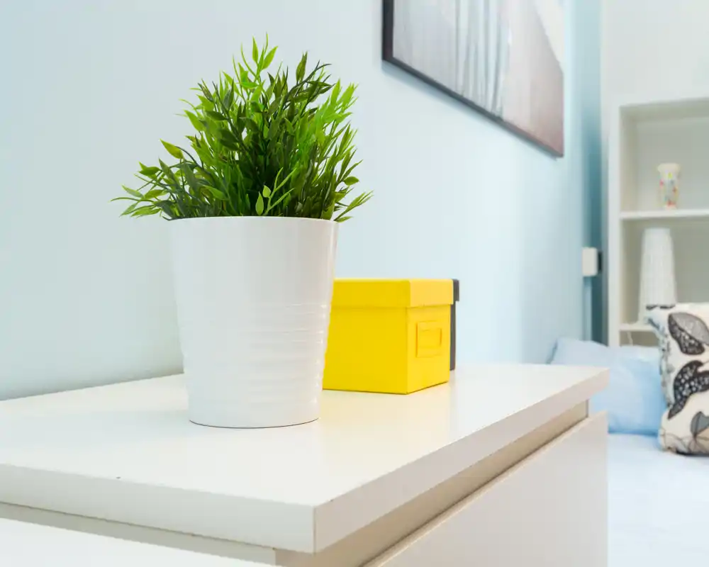 Dettaglio di una camera da letto luminosa e moderna con piano comodino bianco, pianta decorativa e vista parziale del letto con cuscini fantasia — estetica fresca e minimal.