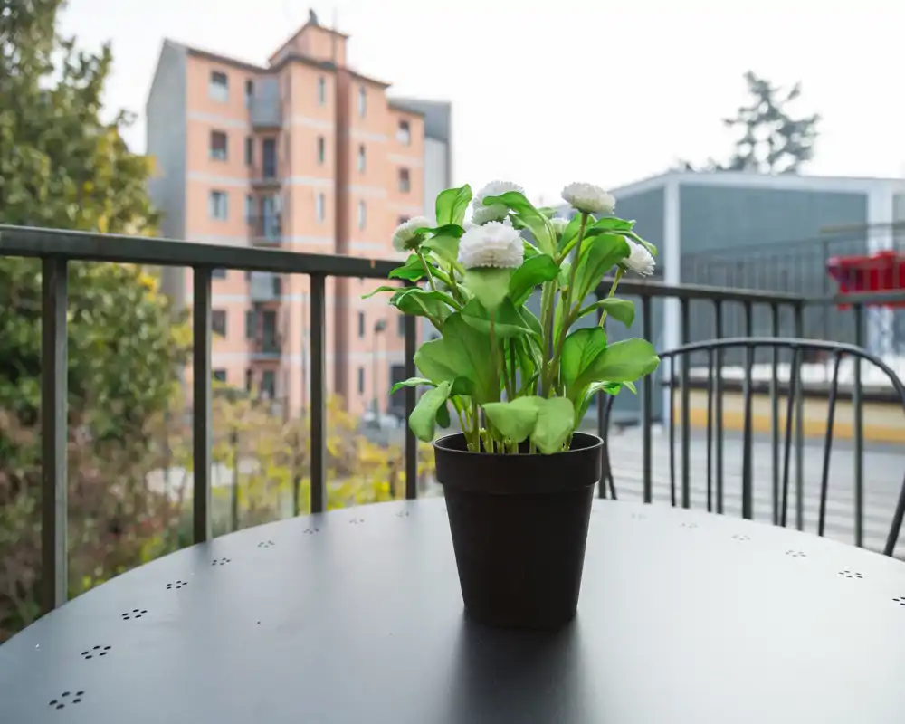 Balcone con una pianta in vaso dai fiori bianchi su un tavolo tondo in metallo; sullo sfondo si vedono edifici urbani e la ringhiera.
