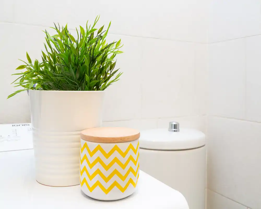 Dettaglio di un bagno pulito e minimal: wc bianco, pareti piastrellate e una pianta decorativa con vaso a motivo, che trasmette un ambiente fresco e ordinato.