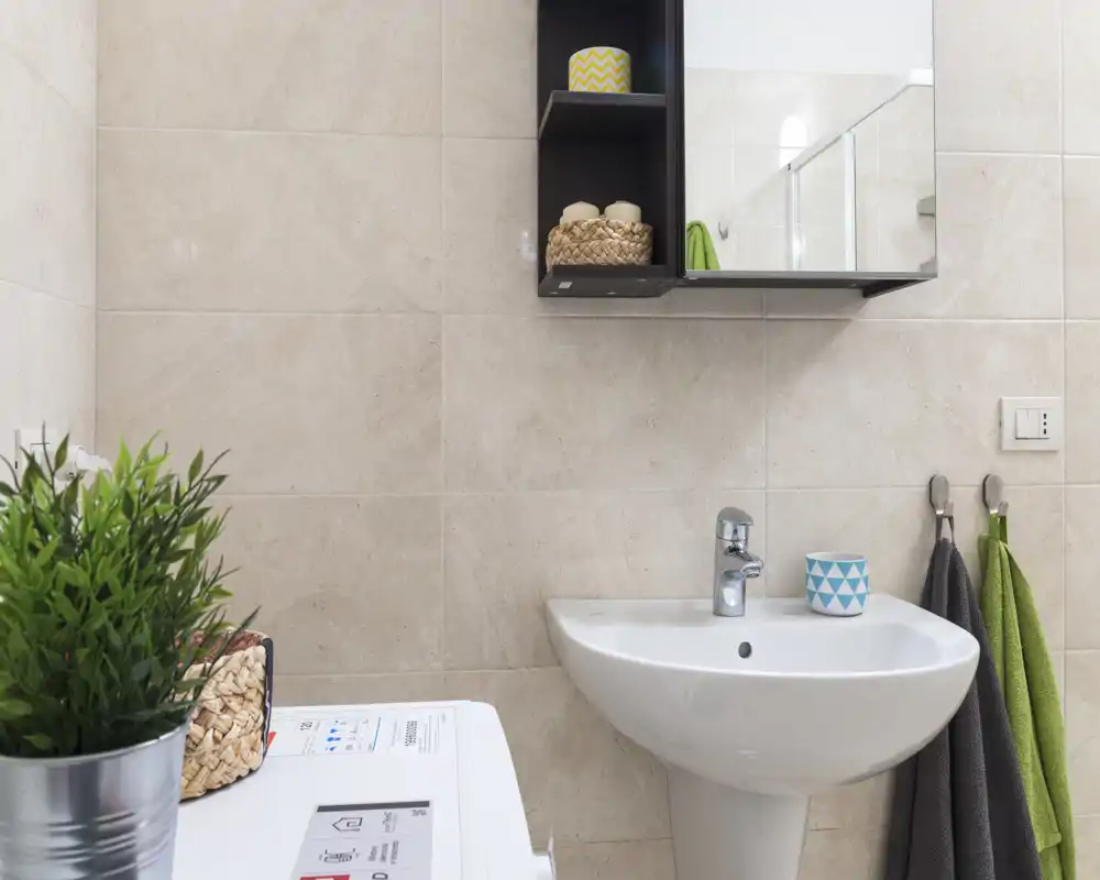 Piccolo bagno moderno con lavabo e pensile specchiato, asciugamani freschi e pianta decorativa che creano un ambiente pulito e luminoso.