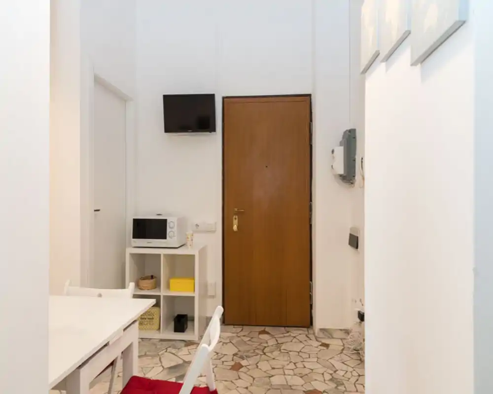 Bright, tidy entrance hallway with a wooden front door, small storage unit with a microwave and a wall-mounted TV — practical layout ideal for a compact rental.