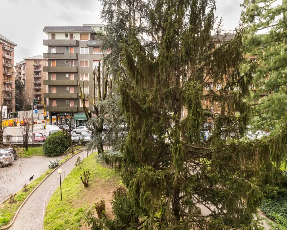 Vista de un patio residencial con árboles perennes, senderos y coches aparcados en la calle; útil para mostrar la zona verde exterior del edificio.