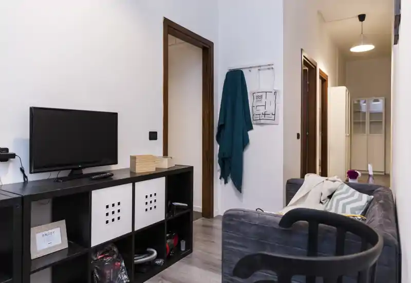 Area giorno moderna e compatta con divano grigio, mobile TV e tessili decorativi; corridoio e armadi sullo sfondo, un soggiorno accogliente e ben arredato per un affitto.