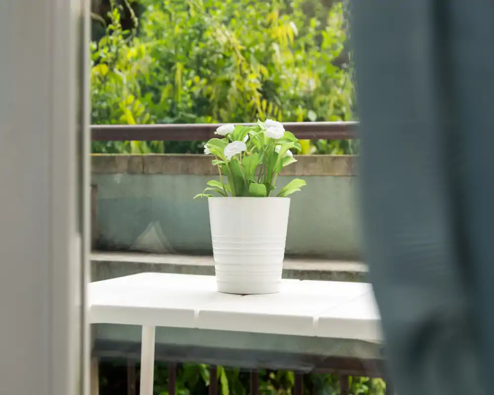 Small balcony scene with a white potted plant on a table, viewed from indoors through a doorway. Bright natural light and green foliage in the background create a fresh outdoor feel.