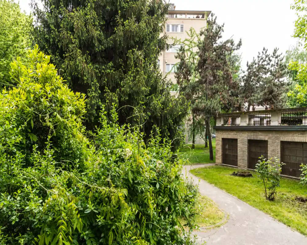 Green outdoor area with a paved path, dense shrubs and tall trees next to a low garage building — pleasant communal garden or courtyard view.