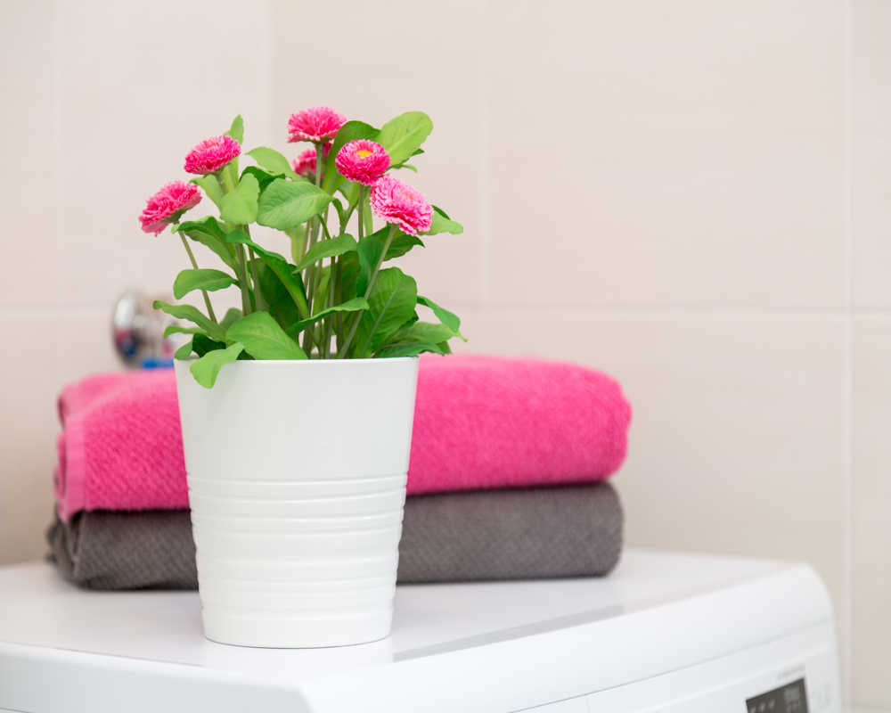 Single room Milano, 3 beds, 16m² — photo 19
