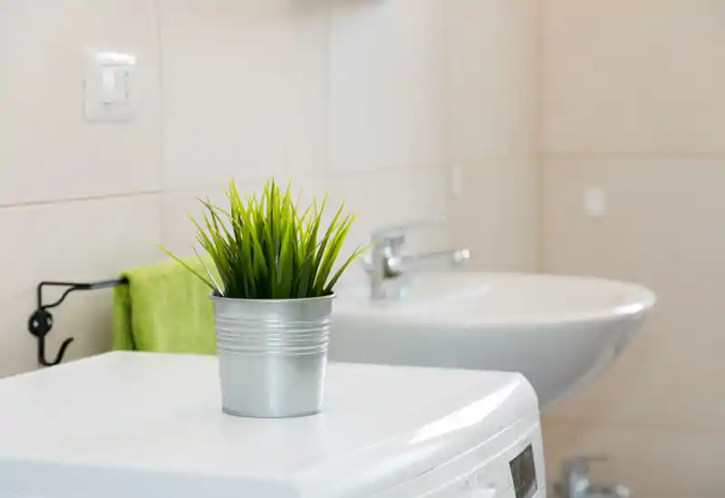 Dettaglio luminoso e pulito del bagno con lavabo bianco, rubinetto e una piccola pianta decorativa su una superficie bianca — stile semplice e fresco.