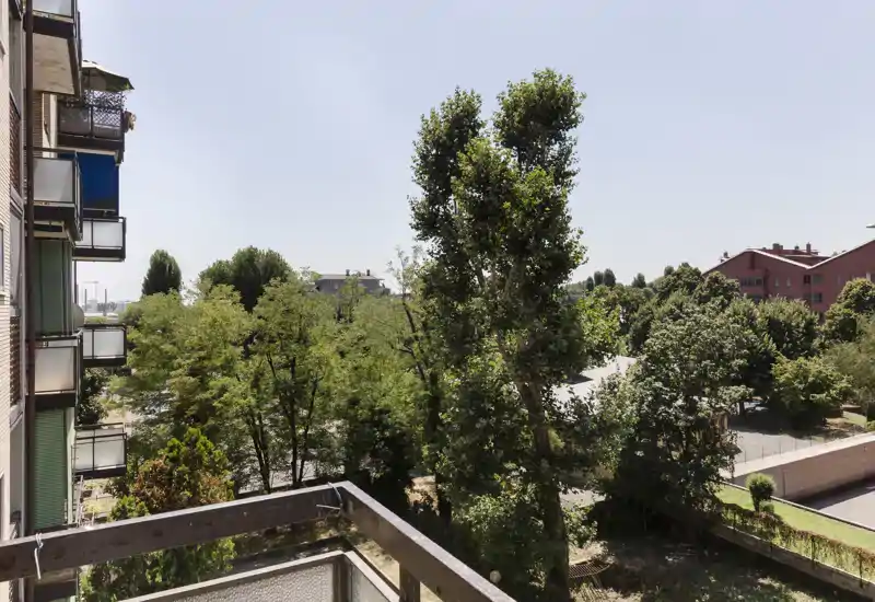 Balcón soleado con vistas a árboles maduros y edificios cercanos; perfecto para disfrutar del aire libre y la vegetación.