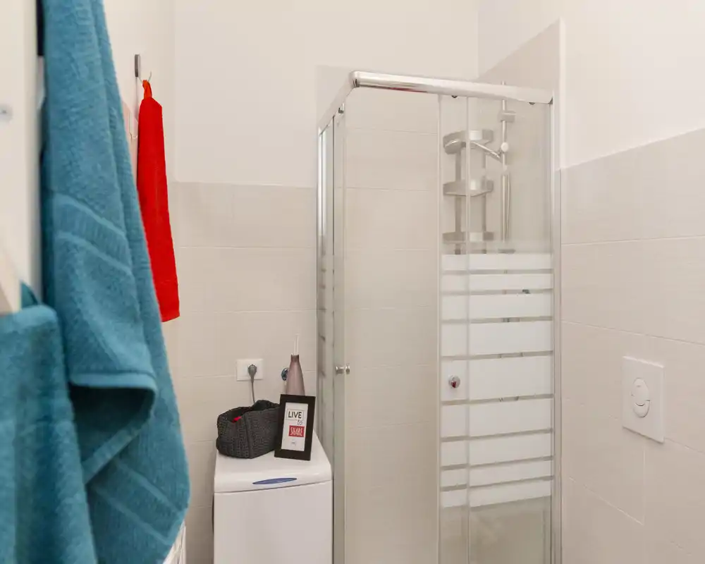 Petite salle de bain moderne avec cabine de douche en verre, plaque de chasse murale et serviettes colorées apportant du contraste.