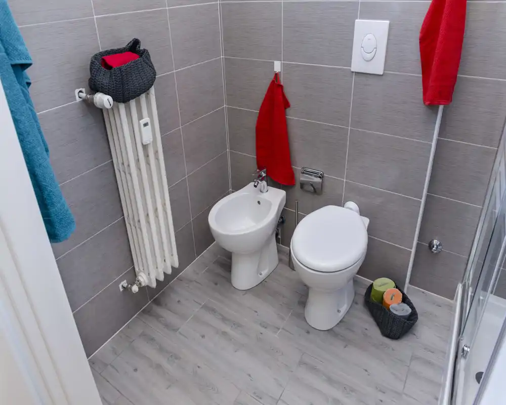 Salle de bain moderne et compacte avec WC et bidet, murs carrelés gris et sol effet bois ; espace lumineux, propre et bien éclairé.