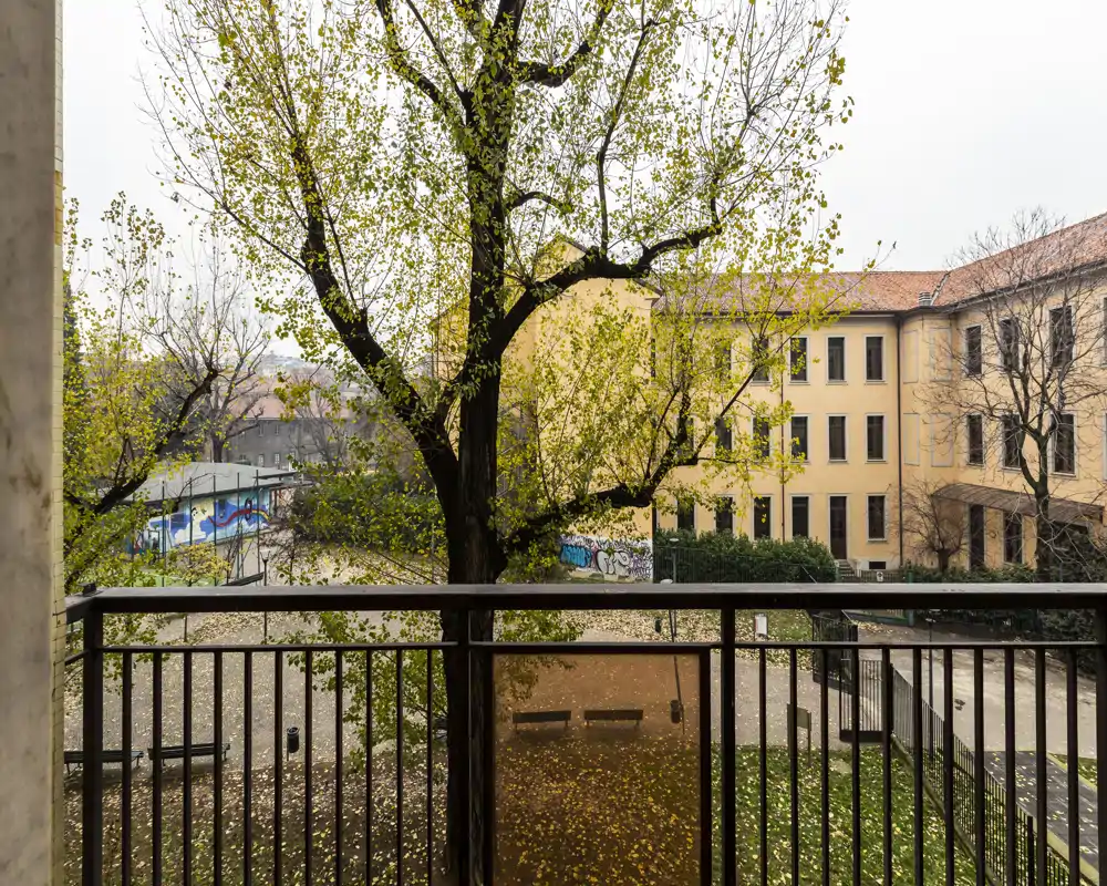View from a balcony overlooking a courtyard with a large tree and adjacent building; autumn leaves cover the ground and there is graffiti on a distant wall.