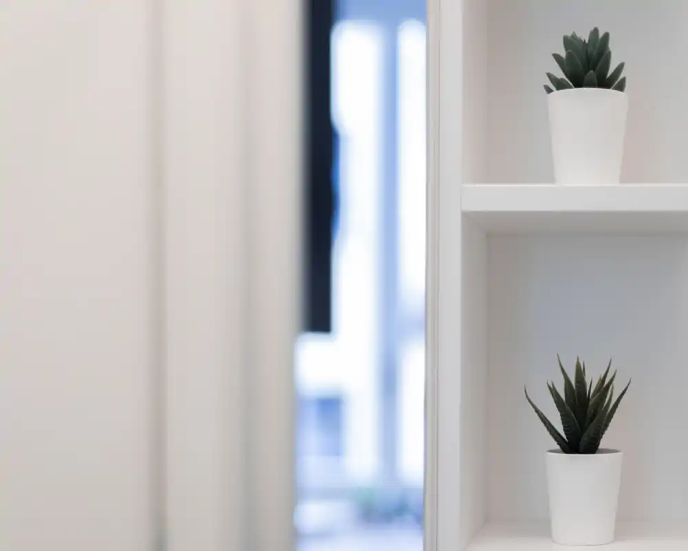 Primo piano di una mensola bianca minimale con due piccoli succulenti in vaso; lo sfondo è volutamente sfocato per mettere a fuoco le piante decorative.
