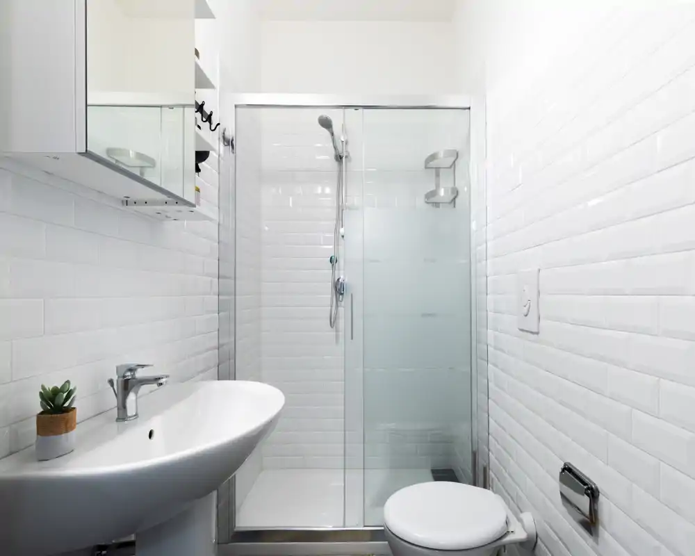 Clean modern bathroom with a glass-enclosed shower, wall-mounted toilet flush plate, and a pedestal sink with a small succulent for decoration.