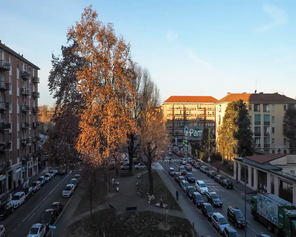 Urban outdoor view from a balcony or window showing a tree-lined median, parked cars and apartment buildings bathed in warm late-afternoon light.