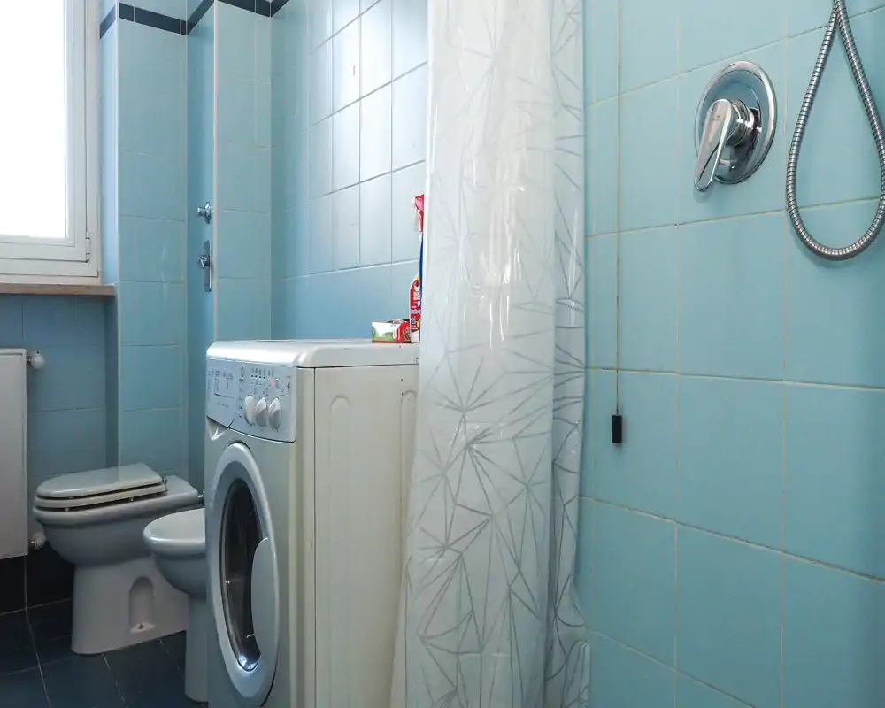 Small tiled bathroom with a shower (visible curtain and wall-mounted showerhead), toilet and a front-loading washing machine beside the toilet; natural light from a window brightens the space.