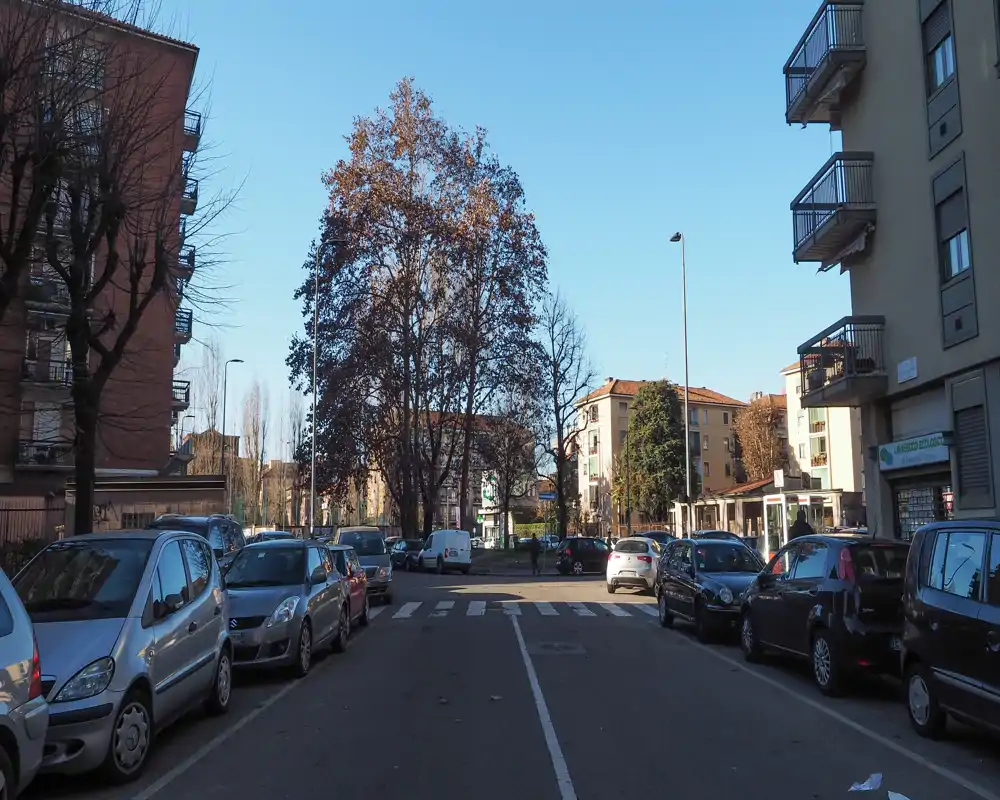 Sunny urban street view with parked cars lining both sides, a pedestrian crossing ahead and tall trees framing the background.