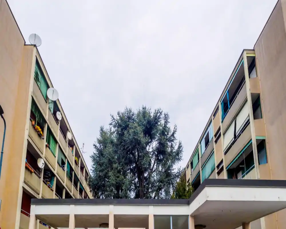 Vista exterior de un patio entre dos edificios de apartamentos con un gran árbol en el centro; útil para mostrar las fachadas y el espacio exterior comunitario.