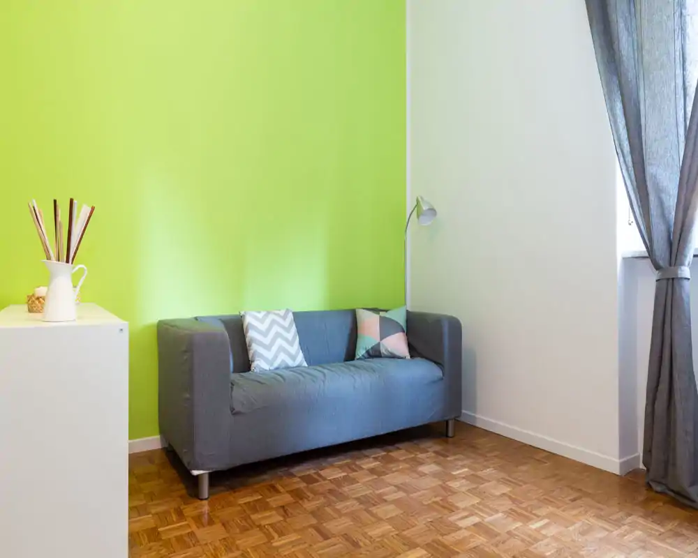 Bright, minimal living room with a gray sofa against a fresh green accent wall, patterned cushions and a floor lamp near a curtained window.