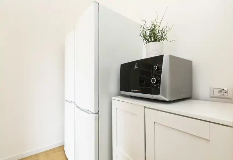 Angolo cucina moderno compatto con frigorifero bianco alto e forno a microonde su un mobile bianco; una piccola pianta dona un tocco di verde.