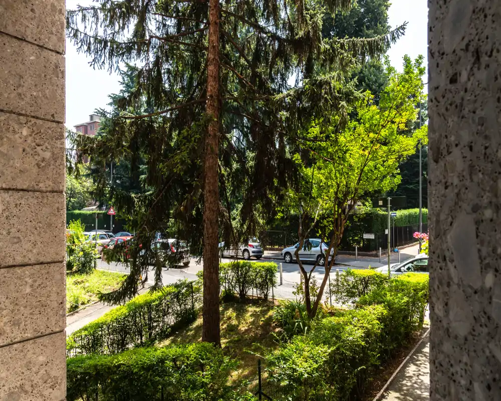 Vista soleada de jardín y calle desde un balcón a pie de calle con árboles frondosos, setos recortados y coches aparcados — espacio exterior verde y luminoso.