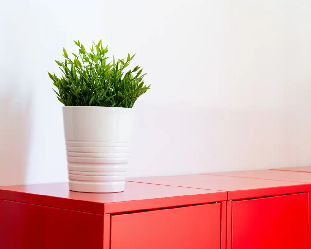 Primer plano de la superficie de un armario rojo frente a una pared blanca con una planta decorativa en maceta. La imagen se centra en el detalle del mueble y la decoración, no en una habitación concreta.