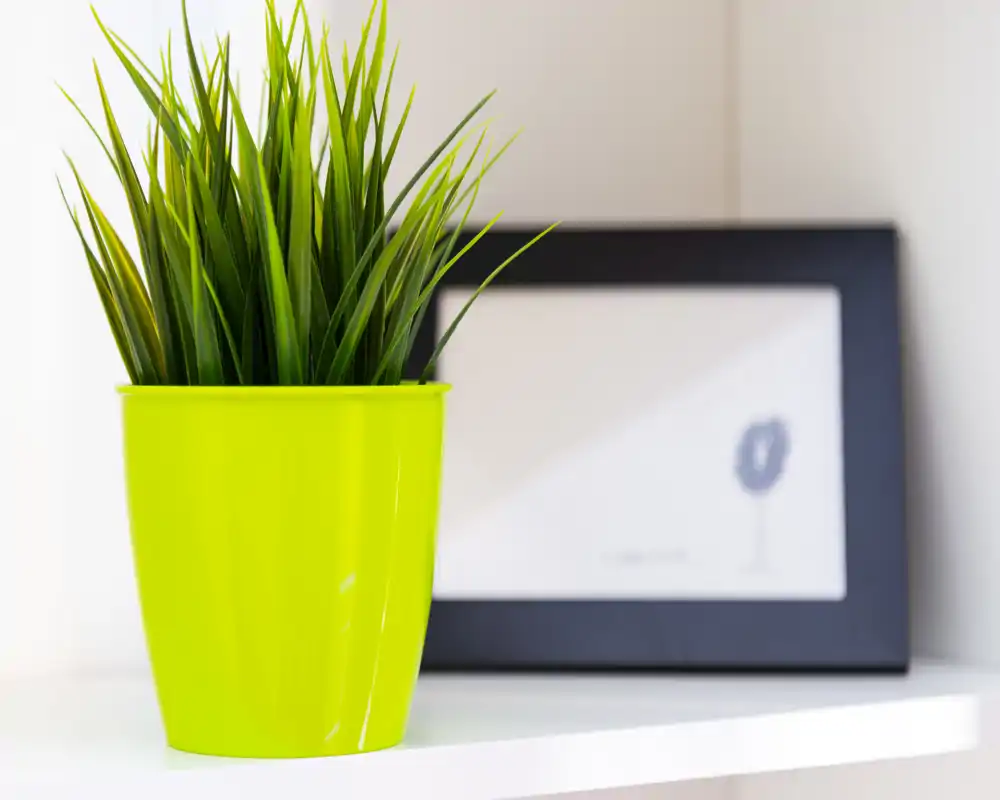Primer plano de una pequeña planta decorativa en maceta sobre una estantería blanca con un marco desenfocado al fondo. La imagen destaca una maceta verde brillante y el vegetal interior como detalle decorativo.