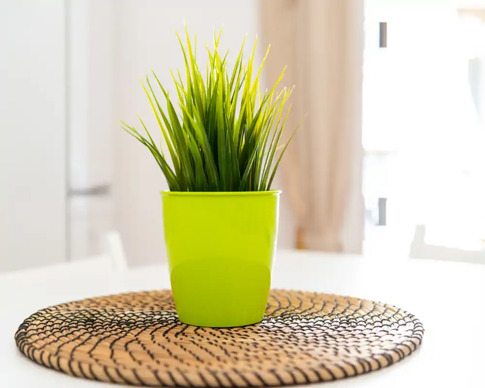 Primer plano de una planta en maceta verde sobre un salvamanteles trenzado, con luz natural suave y un fondo luminoso y minimalista, ideal para mostrar detalles decorativos de la mesa.