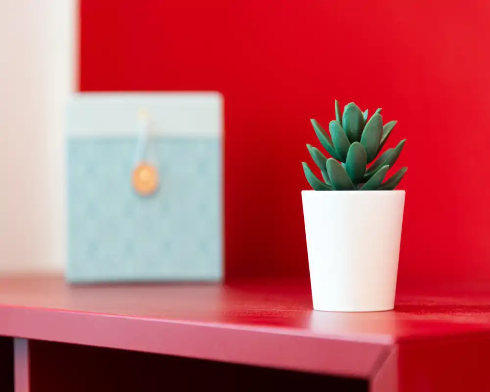 Primo piano di una piccola succulenta in vaso su una mensola rossa con una scatola decorativa sfocata sullo sfondo. L'immagine si concentra sul dettaglio decorativo e non mostra chiaramente il tipo di stanza.