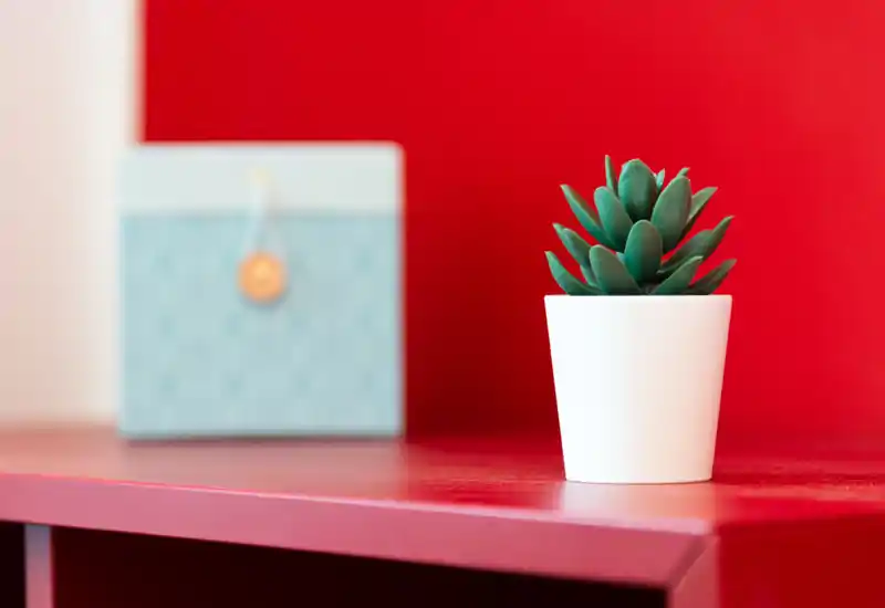 Primer plano de una pequeña suculenta en maceta sobre una repisa roja con una caja decorativa desenfocada al fondo. La imagen se centra en un detalle decorativo y no muestra claramente el tipo de habitación.