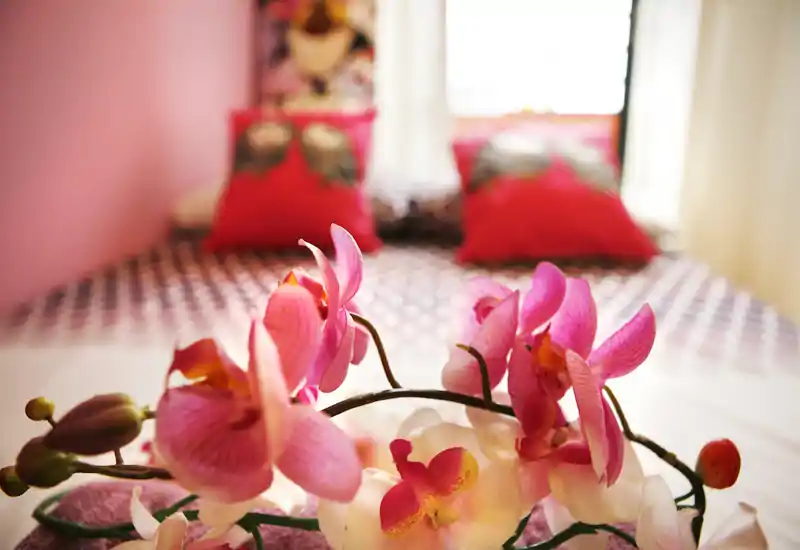 A cozy, well-styled bedroom shot with decorative pillows and patterned bedding; a close-up of orchids in the foreground creates a warm, inviting atmosphere.