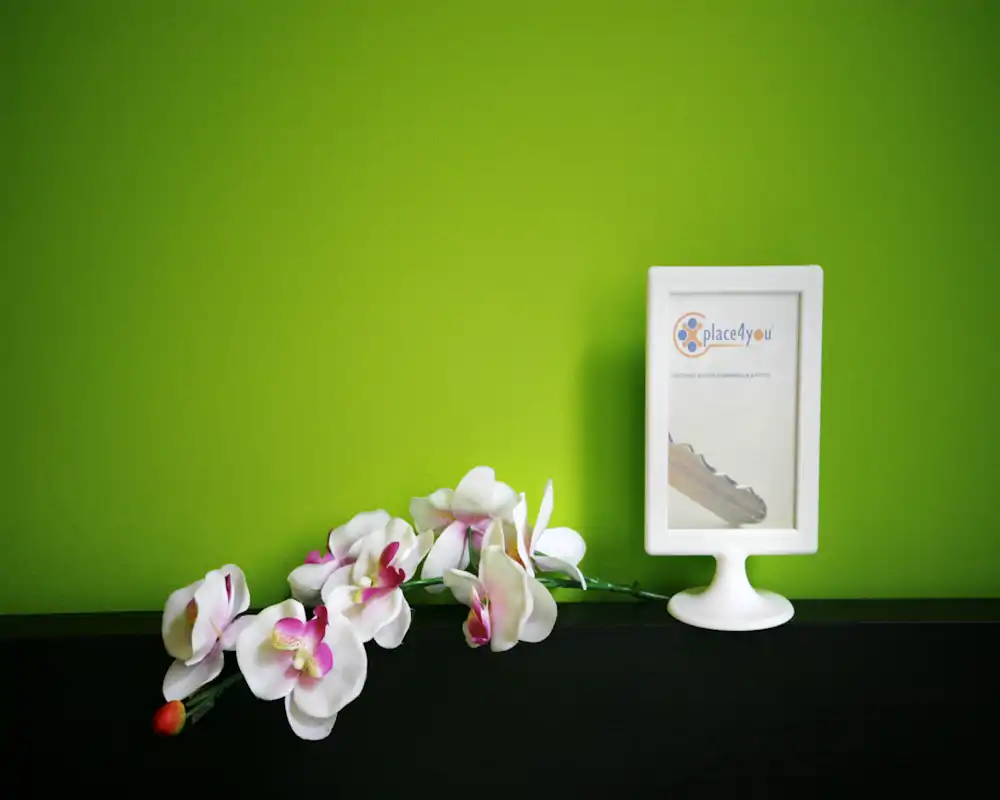 Pequeño detalle decorativo en primer plano: orquídeas blancas y rosas sobre una repisa oscura frente a una pared verde brillante junto a un pequeño marco blanco — un acento estilístico, no la imagen de una habitación completa.