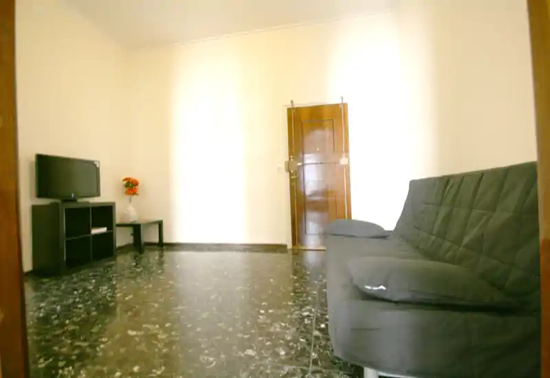 Salon minimaliste avec un canapé futon noir à droite, une petite télévision sur un meuble bas et une table d'appoint avec des fleurs. Espace lumineux et peu meublé avec sol carrelé, adapté à une annonce locative sobre.