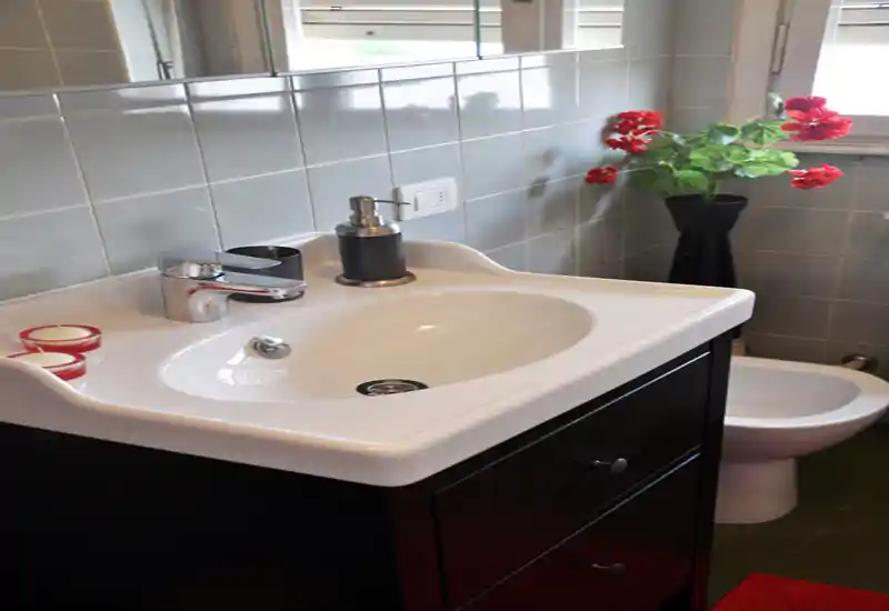 Lavabo moderno e luminoso con rubinetto cromato, piastrelle a parete e fiori decorativi accanto al bidet.