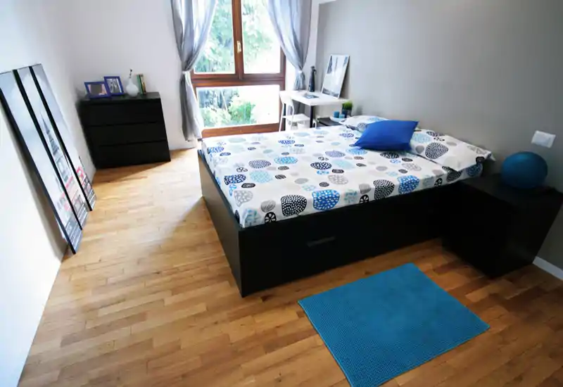 Bright, modern bedroom with a large double bed, natural light from a full-height window, minimalist black furniture and a blue accent rug.