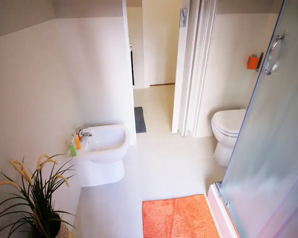 Baño moderno y luminoso con bidé y WC, ducha con mampara de cristal y una alfombra naranja que añade un toque de color.