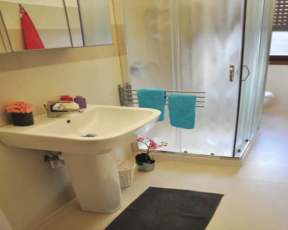 Baño limpio y bien iluminado con lavabo de pedestal, ducha cerrada de vidrio esmerilado y accesorios ordenados como toallas y alfombrilla.