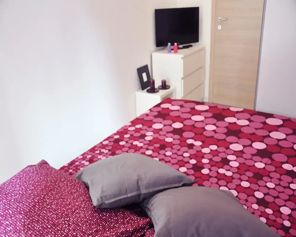 Well-styled bedroom with patterned magenta bedding, soft pillows and a TV on a dresser; bright, tidy and inviting.