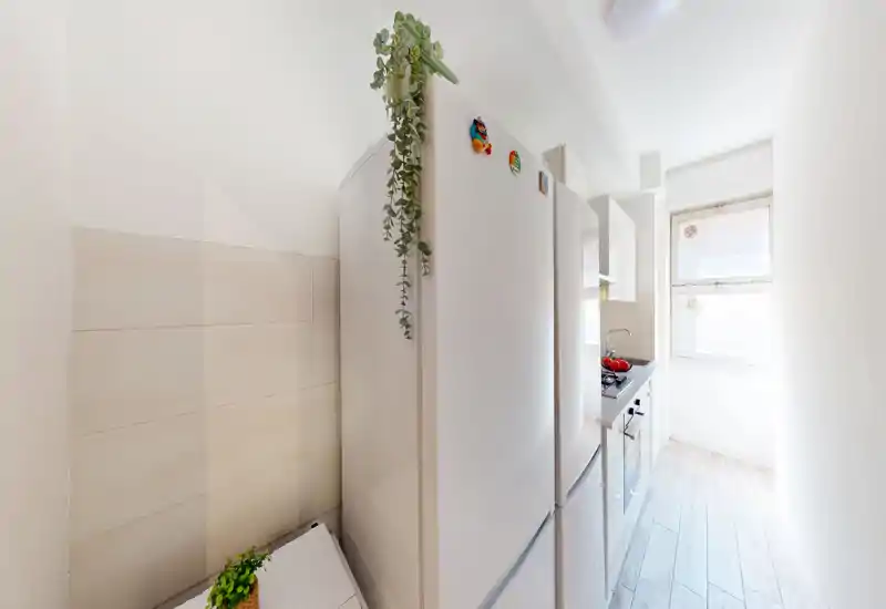 Cuisine étroite et lumineuse avec un grand réfrigérateur, un plan de travail compact et un évier près d'une fenêtre ensoleillée ; style moderne et minimal avec de petites plantes décoratives.