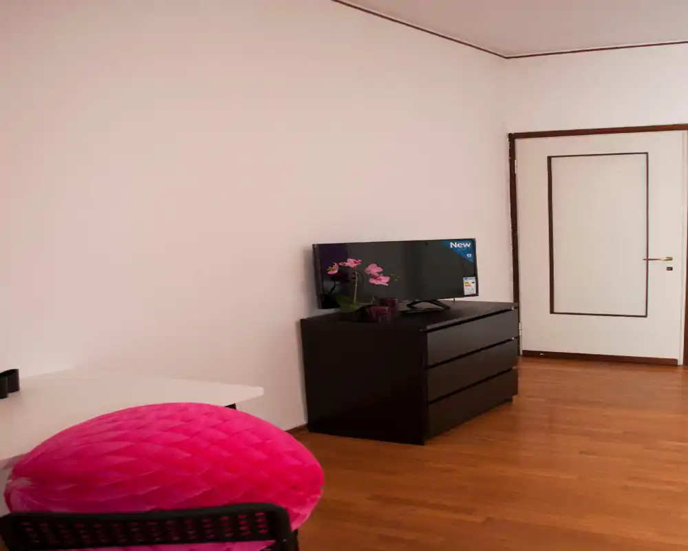 Rincón de dormitorio sencillo con cómoda negra, televisor y una pequeña orquídea decorativa; suelos de madera y puerta blanca crean un ambiente minimalista y ordenado.