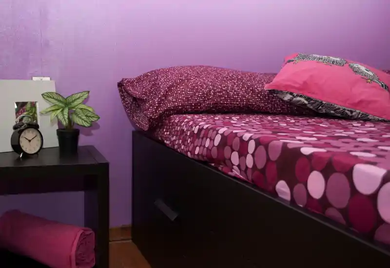 Rincón de dormitorio individual luminoso y cuidado con ropa de cama estampada magenta, cojines a juego y una mesita de noche con reloj y planta.