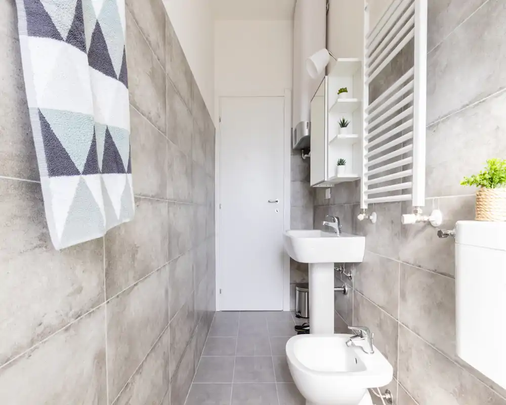 Bright, modern bathroom with gray tiled walls, a pedestal sink, bidet, wall-mounted towel warmer and simple decorative plants.