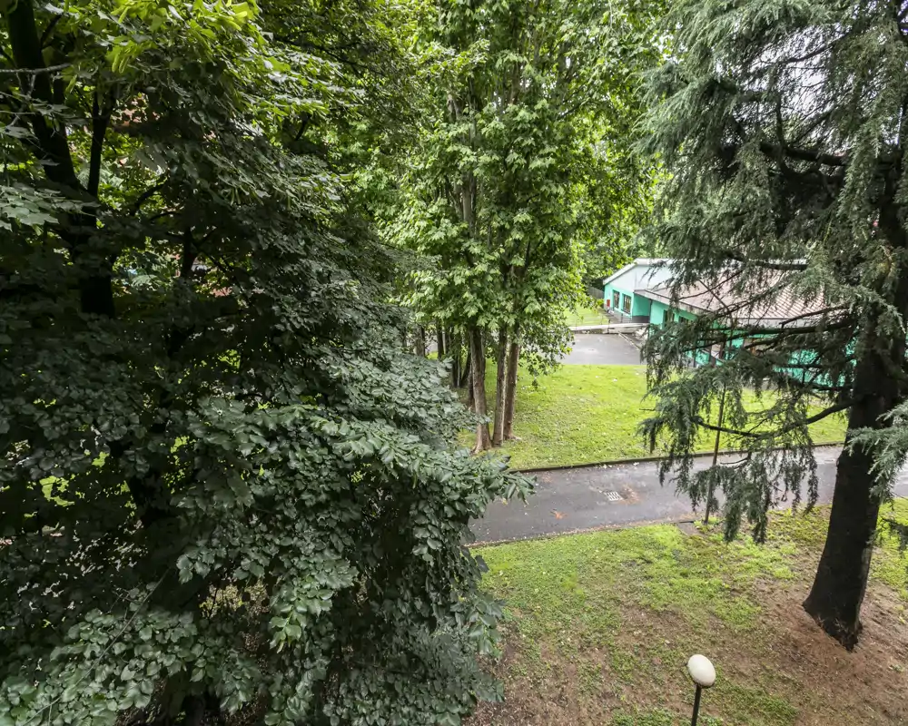 Vista esterna verde con alberi maturi, un vialetto asfaltato e un piccolo edificio — ideale per mostrare un giardino o uno spazio esterno condominiale.