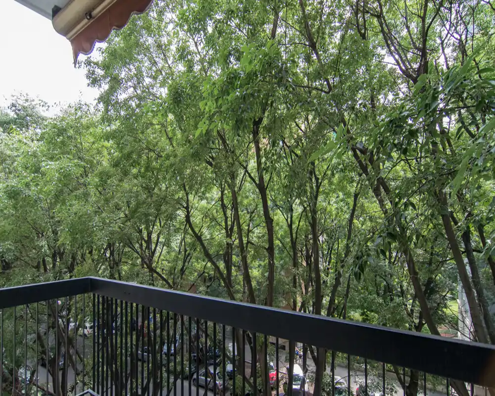 Sunny balcony view framed by a metal railing and retractable awning, overlooking mature trees and a street below — ideal for outdoor relaxation.
